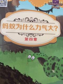 俞昕妙朗读13、朵比熊昆虫认知系列 第四章 蚂蚁为什么力气大？^_^