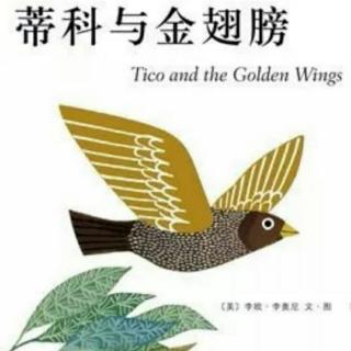 蒂科🐤与金翅膀🔶