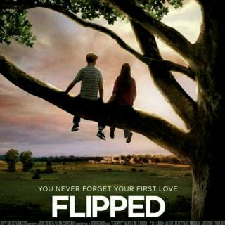 Flipped chapter1-diving under1