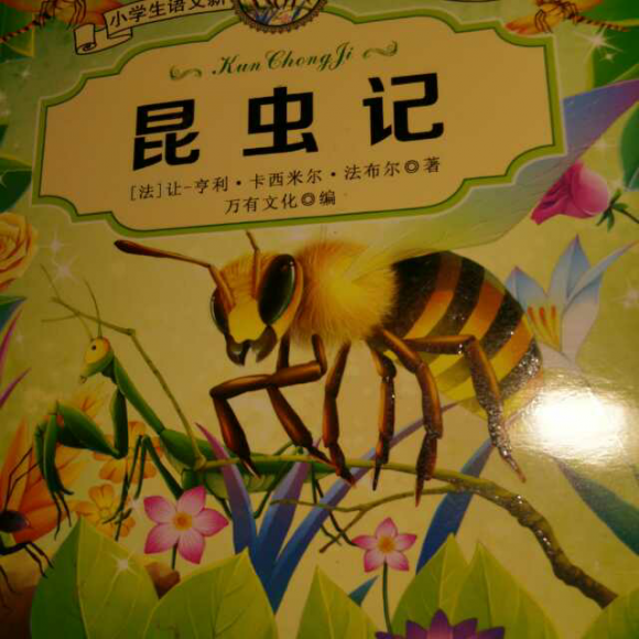 《昆虫记》7,樵叶蜂剪叶片
