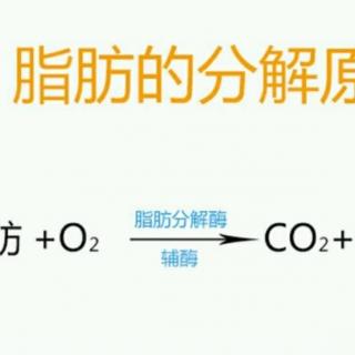 科学减肥一次一辈子不反弹的原理总结