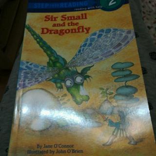 Sir Small and the Dragonfly