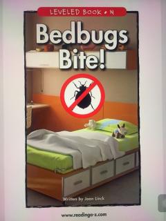 S2Day282-20171106-Bedbugs Bite！