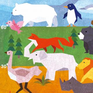 【彩色斑马讲科学】为什么每个地方的动物都不一样？