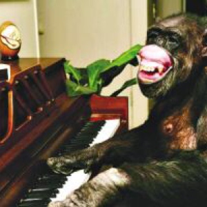 动物狂欢节－《钢琴家》