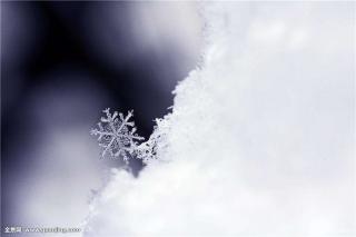 三年三班 邓孟瑀 《雪❄️》