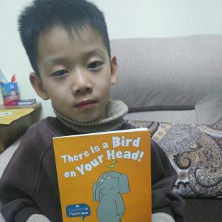 英文绘本故事《there is a bird on your head》