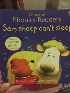 D193 sam sheep can't sleep