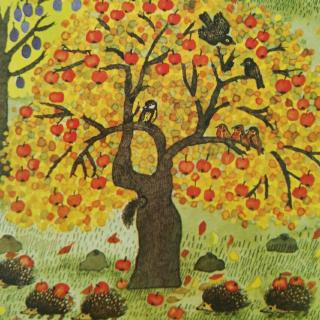 绘本故事《苹果树之歌》