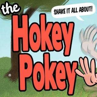 The Hokey Pokey Shake