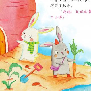 【哈哈姐姐讲故事】微童话：爱丢 东西的小兔+小猫剪胡子
