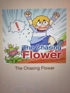 英文绘本～The chasing flower