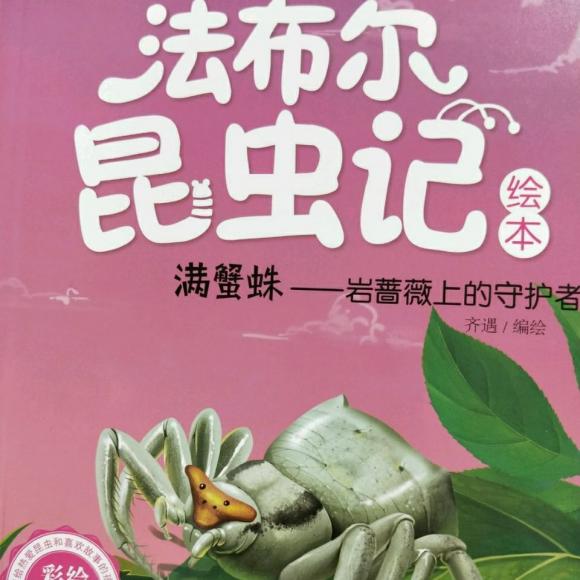 068-法布尔昆虫记 舍腰蜂 怕冷的泥水匠