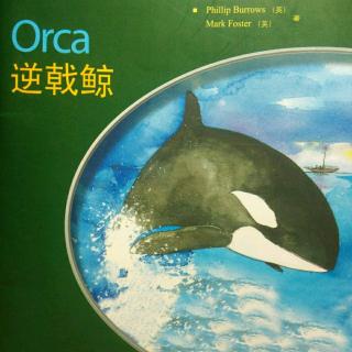 Orca