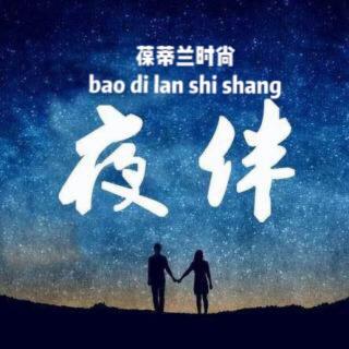 夜伴[婚姻中最可怕的从来不是出轨]