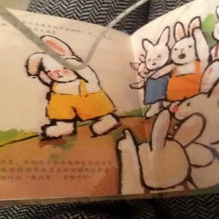 折耳兔瑞奇系列1折耳兔瑞奇🐰🐰🐰