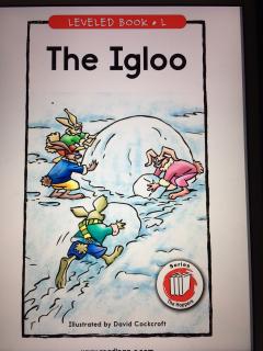 The Igloo