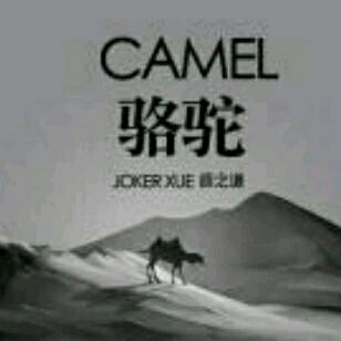 骆驼——来自简书