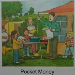 13 pocket money