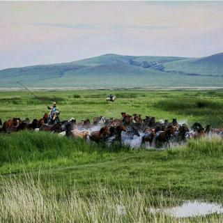 蒋雨含《梦回故乡》