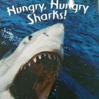 Hungry,Hungry Sharks!