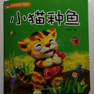 20171119《小猫种鱼》