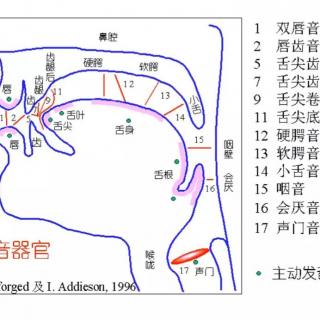 气息控制和声母b的发音  