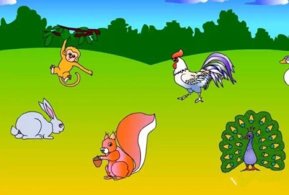 兔子和公鸡