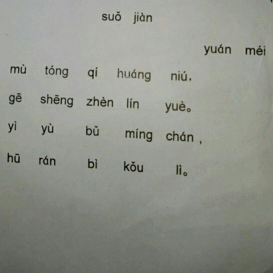 汉语拼音闯关