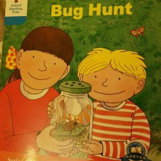 DD3-8 Bug Hunt