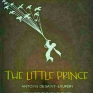 《THE LITTLE PRINCE 小王子》 13