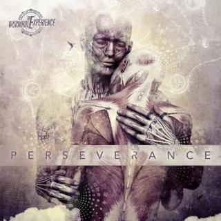 意大利Fusion Djent-The Wormhole Experience, Feat. Marco Sfogli – Perseverance (2017)