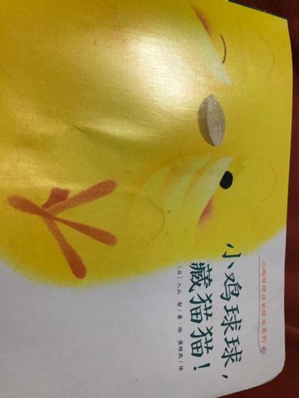 小鸡球球藏猫猫