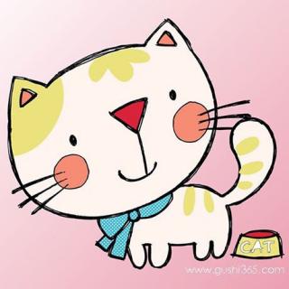 179、《丁点猫🐱找朋友》