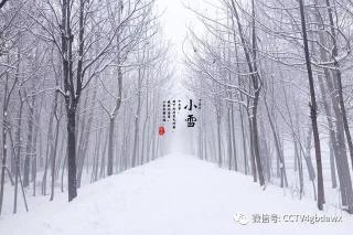 雪花的快乐