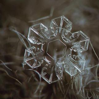 一日一诗一歌《雪花的快乐》徐志摩 温柔电台