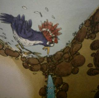 《啄木鸟挖水塘》
