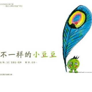 卡蒙加幼教集团——张老师《不一样的小豆豆》