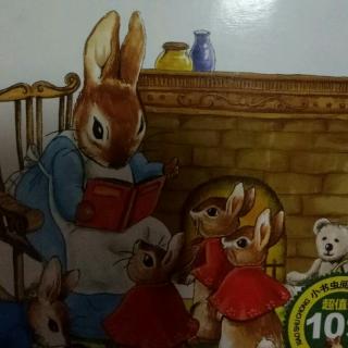 小兔彼得