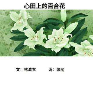 《心田上的百合花》