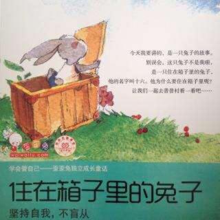 听宋老师讲故事之《住在箱子里的兔子-3.当兔子遇上熊》
