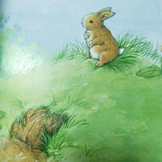 故事《小兔子》