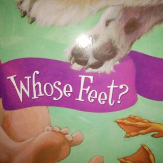 Whose Feet?_3