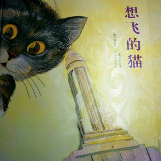 想飞的猫