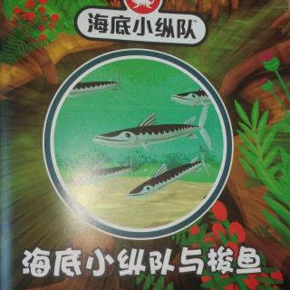 海底小纵队与梭鱼