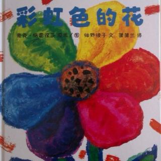 🦁文倍儿领袖教育🦁第六十五篇《彩虹色🌈的花》