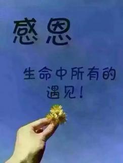 读字典 认单词5