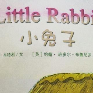 little  rabbit
