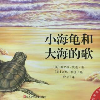 3Y7Y 《小海龟和大海之歌》
