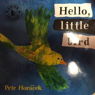 Hello, little bird